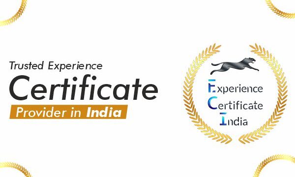 Trusted Experience Certificate Provider in India