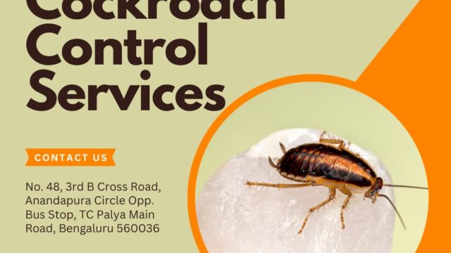 Cockroach-Control-Service24.02.2025