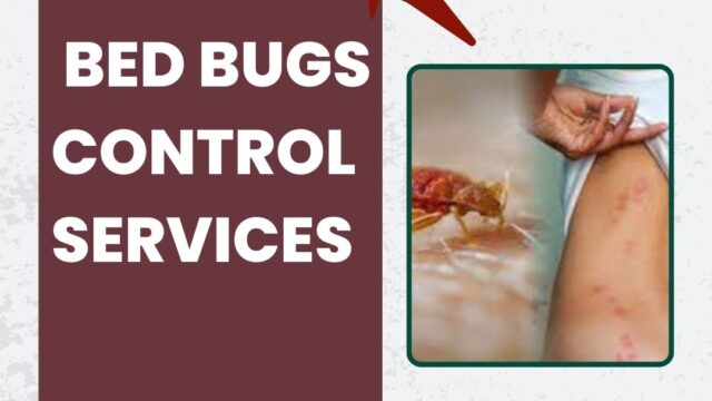 brachial-plexus-surgery-2-1