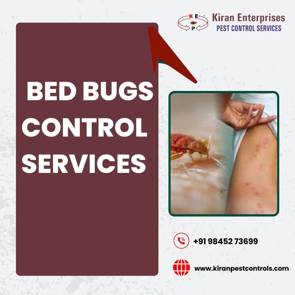 Bed Bugs Control Services in Yashwanthpur | Guaranteed Results