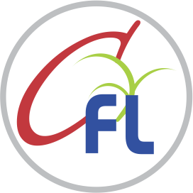 Chintamani Finlease Ltd.